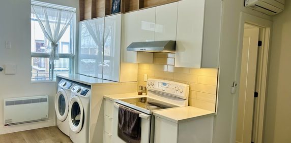 4 Et Demi Rénové Promenade Masso - Photo 2