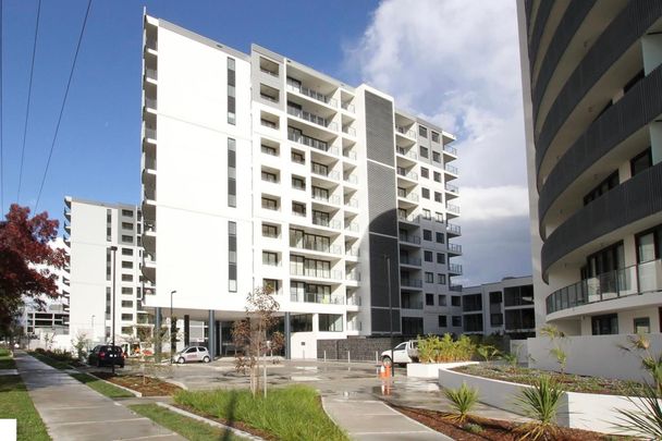 154/1 Mouat Street, Lyneham - Photo 1