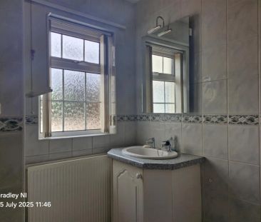 27 St. Annes Park - Photo 6