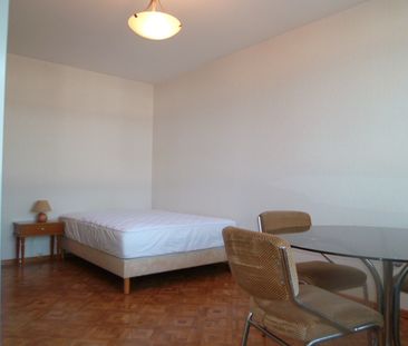 Location Appartement 1 pièce 29m² - Photo 5