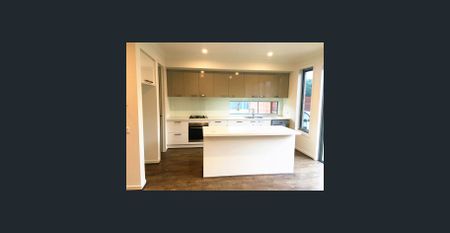 An oasis for family embarking on new life! - Photo 4