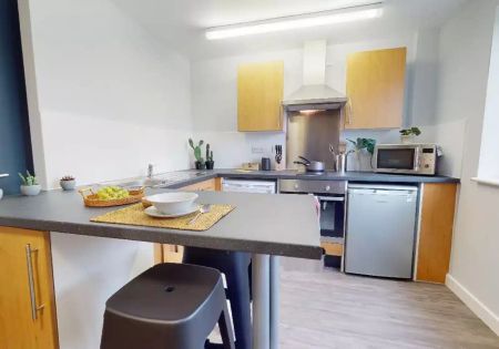 Bronze Studio Plus - Photo 3