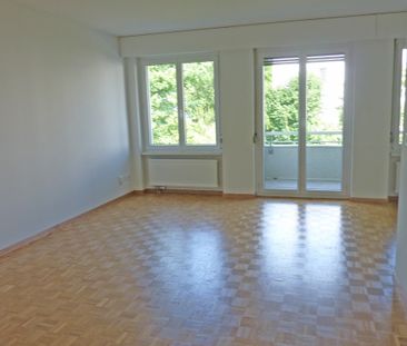 Helle Singlewohnung im Grünen in Altstetten - Foto 4