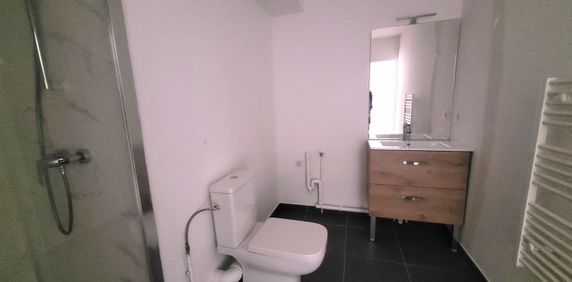 Location Appartement 1 pièce 33m² CROIX 59170 - Photo 2