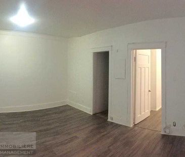 5998 Avenue du Parc apartment — Montréal, QC (1-Bedroom) - 1 Bedroom - Photo 4