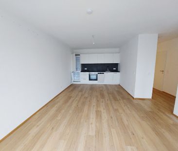 Gemütliche und moderne 2-Zimmer-Wohnung mit Terrasse - Photo 3