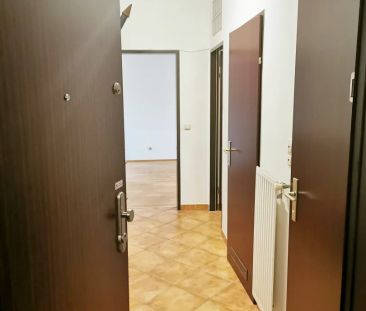 2 Zimmer-Wohnung inkl. möblierter Küche - Photo 3