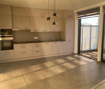 TE HUUR, Deinze, Markt - Foto 2