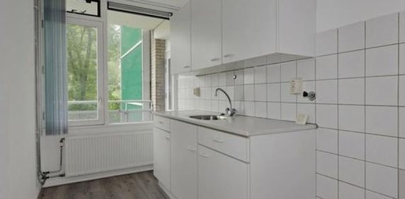 Hooidrift 0ong, 3023 Rotterdam, Nederland - Foto 2