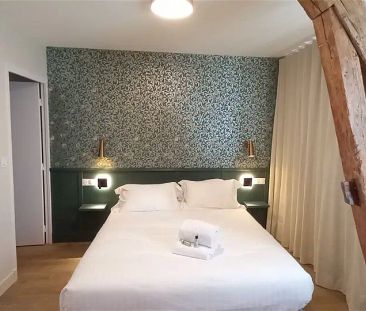 Location appartement 1 pièce - 27m² à Cour cheverny (41700) - Photo 1