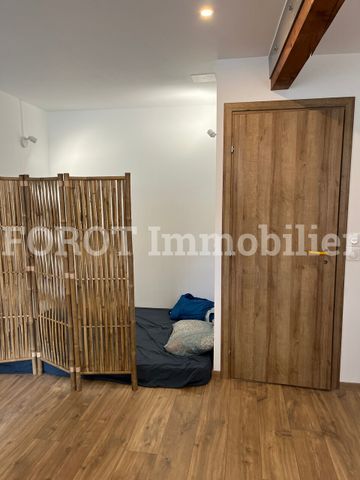 Location Appartement 1 pièce 25m² LE CHEYLARD 07160 - Photo 4