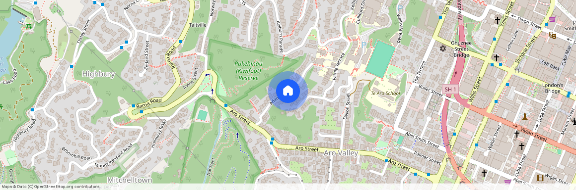 28A Adams Terrace, Aro Valley, Wellington City