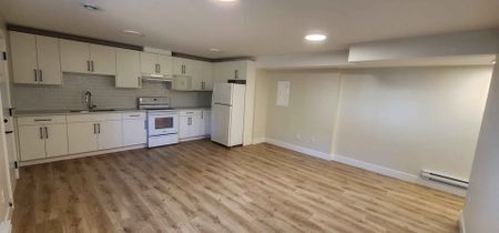 Modern Basement Suite in Promontory - Photo 4