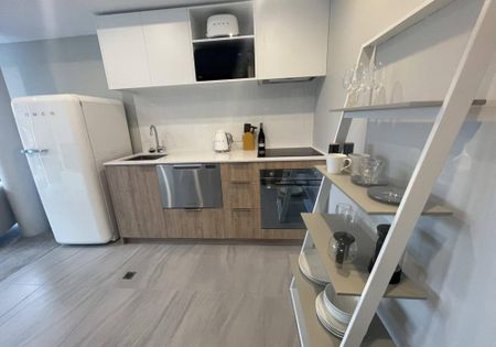 One bedroom west facing corner apartment - Photo 4