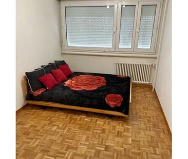 3 Zimmer-Wohnung in Grand-Lancy (GE), möbliert - Foto 4