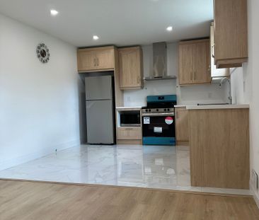 For Lease - 1526 Chickadee Trail Unit# Bsmt, London South, Ontario - Photo 4