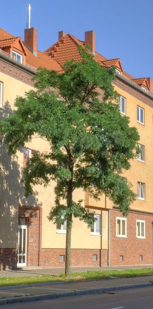 1 RWE mit Gasetagenheizung - Foto 1