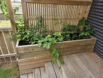 Designed with privacy & comfort in mind - Photo 1