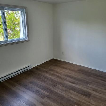 5 1/2 fraîchement rénové libre dès maintenant - Photo 3