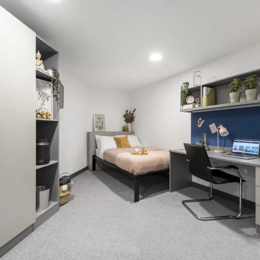 Bronze Studio Plus - Photo 1