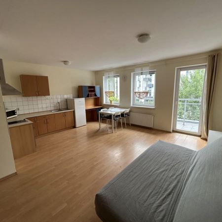 Kawalerka na wynajem, Poznań - Jeżyce 33.4 m² - Photo 3