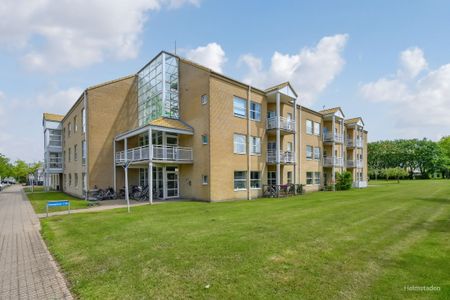 Pæregrenen 19, 5220 Odense SØ - Foto 3