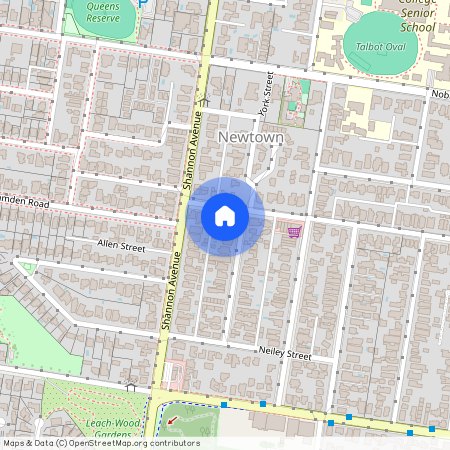 4 Daisy Street, Vic 3220, Newtown