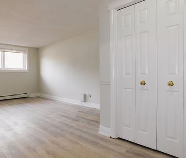 1 Bedroom - Photo 4