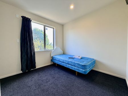 88 Creyke Road, Ilam - Photo 4