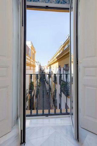 Calle Mendoza Ríos, Sevilla, Andalusia 41002 - Photo 5