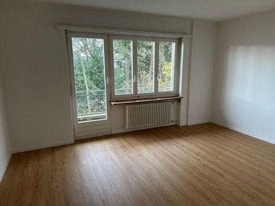 Spacious 4.5-room apartment for rent - Photo 1