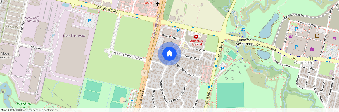 80c Michael Jones Drive, Flat Bush, Manukau City