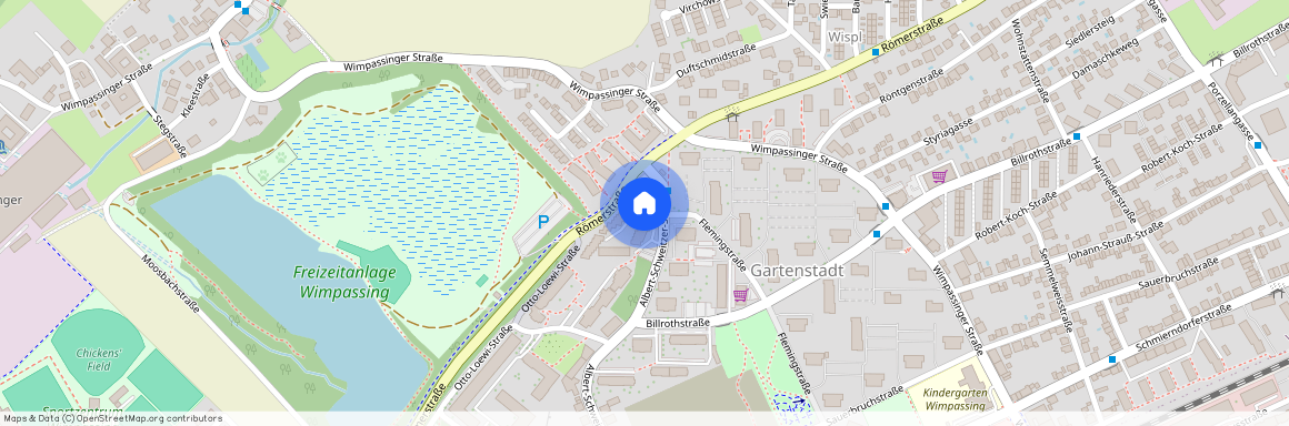 Albert-Schweitzer-Straße 8/, 4600, Wels