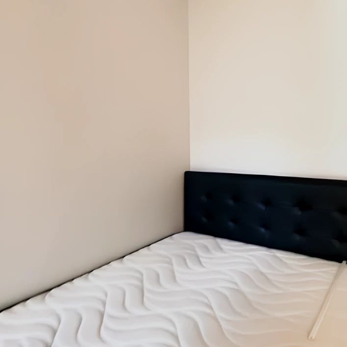 6 Paul Street, Zetland, Sydney - Photo 2