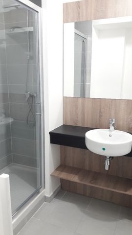 Location Appartement 1 pièce 20m² LYON 7ème - Photo 3