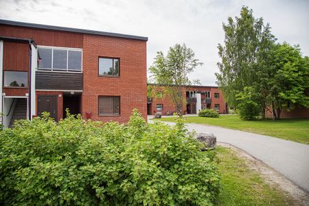 Ankarskatavägen 76 G, 94164, Piteå - Foto 5