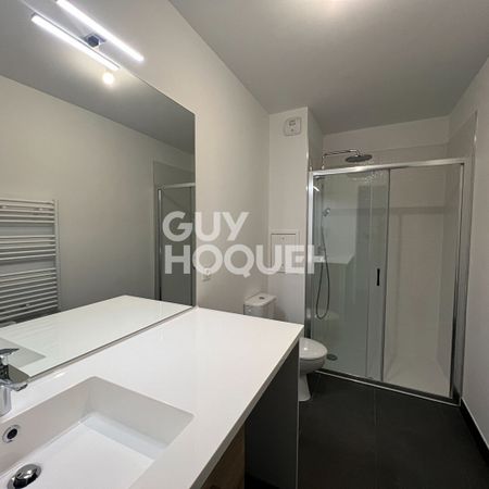 Appartement L'Haÿ Les Roses 1 pièce 38.84 m2 - Photo 4