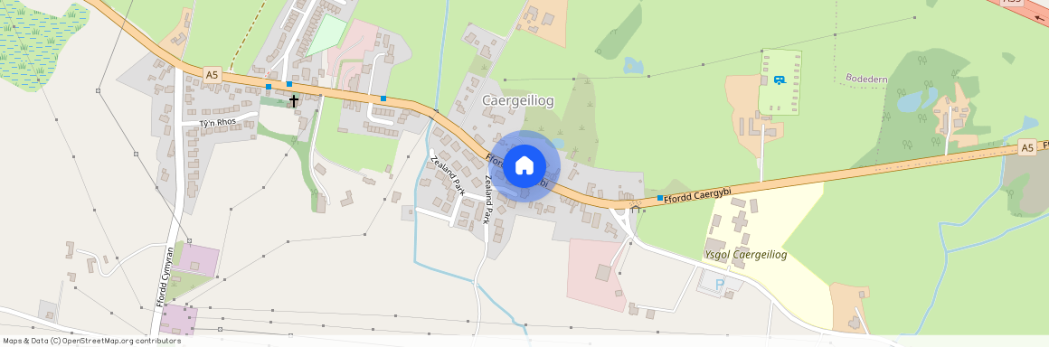 Coedlys, Caergeiliog