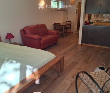 Appartement meublé à louer dans maison individuelle - Photo 1