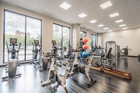 Rue St-Hubert, H2Y 0B9, Montréal - Photo 3