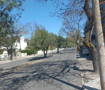 Apartamento T2 - Photo 4