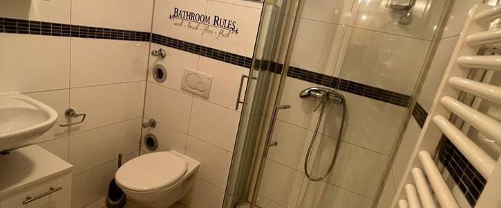 Renovierte und zentrale 1-Zimmer-Wohnung (680€ Warmmiete) - Photo 1