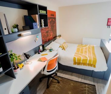 Premium Studio - Photo 4