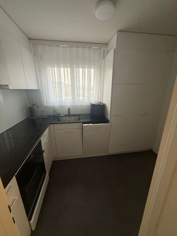 3.5 Zimmer, EG - Photo 2