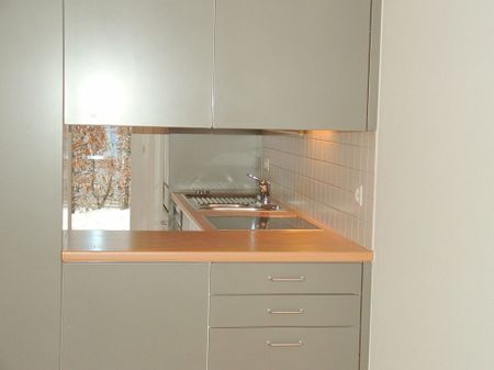 Fantastique maison mitoyenne de 4,5 pièces avec un caractère de bien-être dans un environnement calme - Photo 3