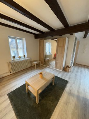 Appartement 1 pièce à Strasbourg - Photo 1