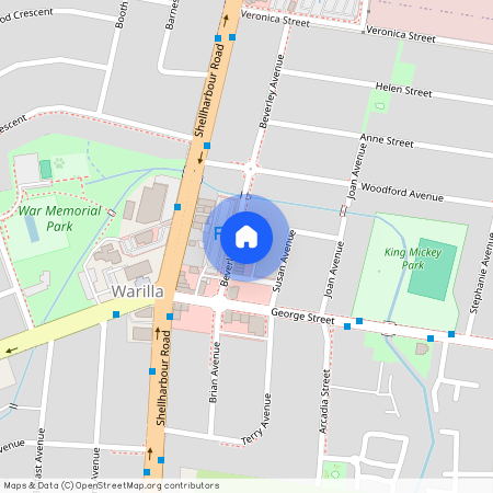 8a Beverley Avenue, NSW 2528, Warilla