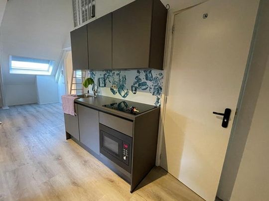 Te huur: Appartement Zuiderpark in Groningen - Foto 1