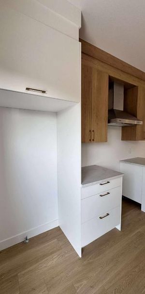 Beau et spacieux 4 1/2 à céder - 1455$ par mois - Photo 1
