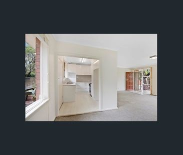 Ideal Location - Single Level 3 bedroom Home - Pet Friendly - Photo 4